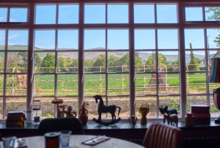 white horse view